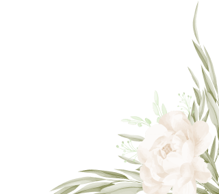 Asset 002