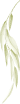 Asset 006