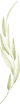 Asset 007